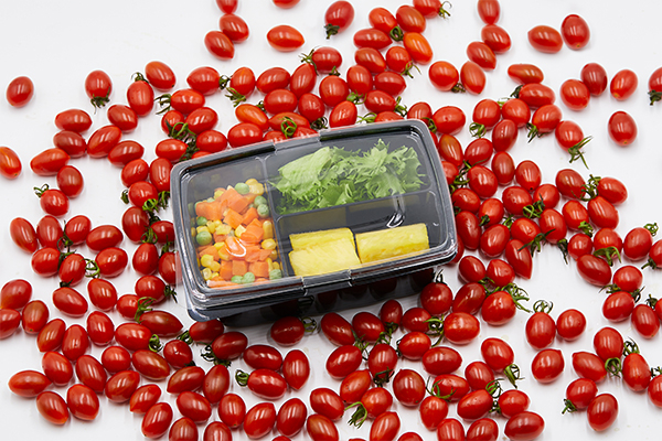 Plastic Food Container Applications