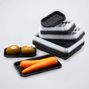 Refrigerator Available Multi Dimension Series Disposable Plastic Frozen Food Packing Tray