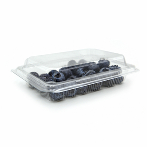 Blister Disposable Clear Plastic Packing Clamshell Box Fruit Packaging Container