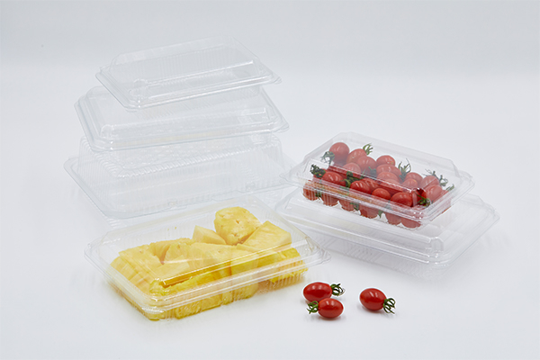 A Wide Range Of Plastic Food Container Applications