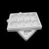 Electronic Components IC Chips Blister Tray Plastic Packaging