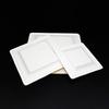 Source Factory Customization Eco-Friendly Sugarcane Bagasse Square Plate Trays(6 8 10 Inch)