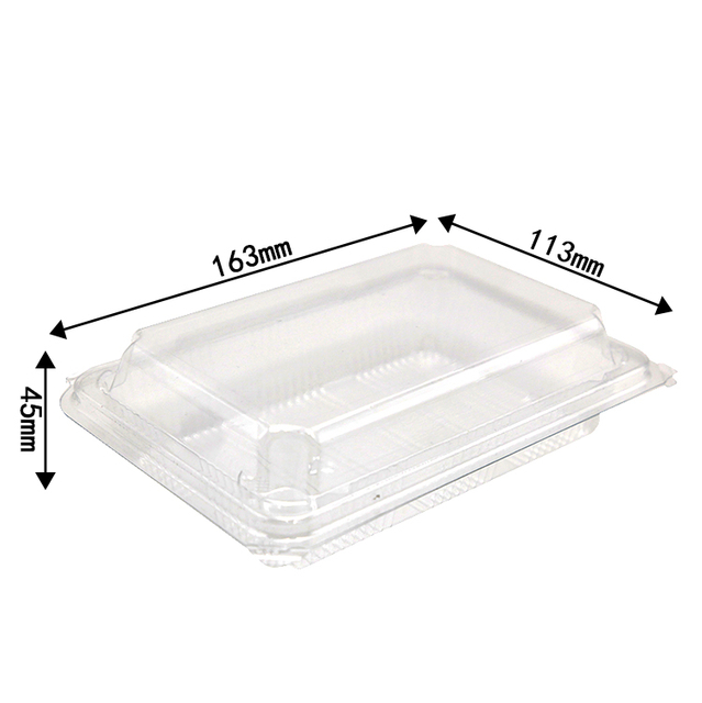 Blister Disposable Clear Plastic Packing Clamshell Box Fruit Packaging Container