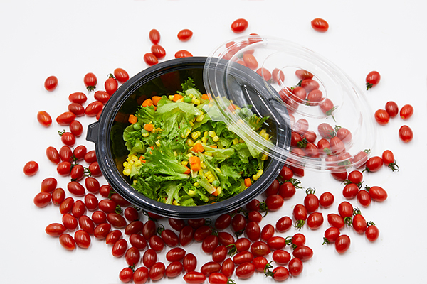 Plastic Food Container manufacturer