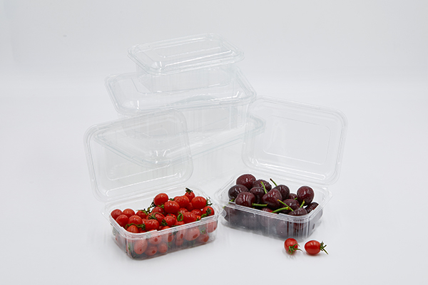 food and industrial packaging manufacturer