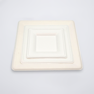 Source Factory Customization Eco-Friendly Sugarcane Bagasse Square Plate Trays(6 8 10 Inch)
