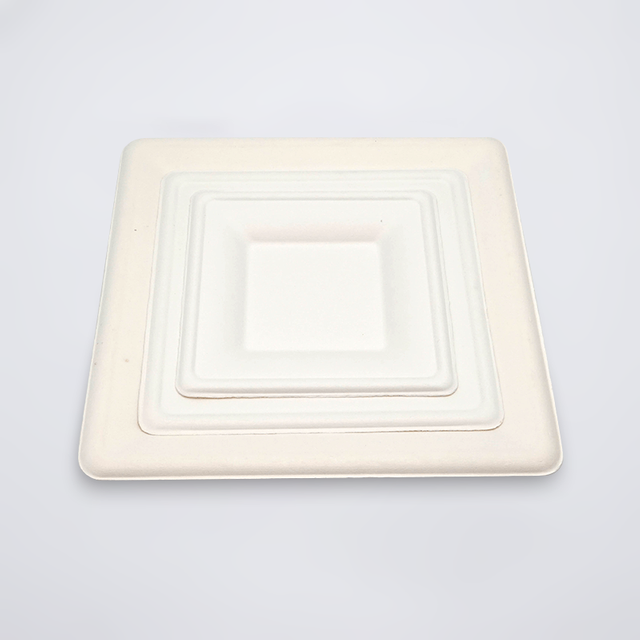 Source Factory Customization Eco-Friendly Sugarcane Bagasse Square Plate Trays(6 8 10 Inch)