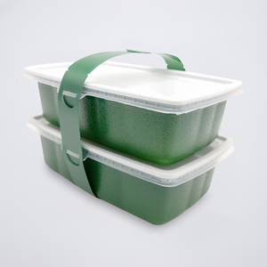 Rectangle Double Layer Contaner 1000ml Disposable Plastic Takeaway Food Box