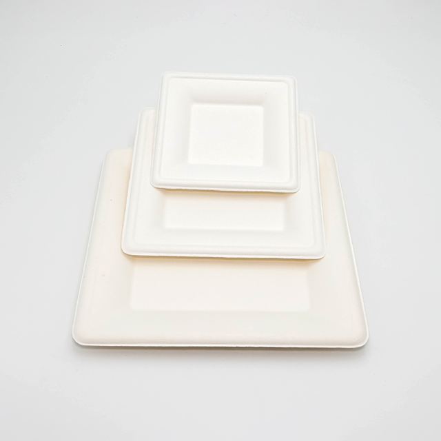 Source Factory Customization Eco-Friendly Sugarcane Bagasse Square Plate Trays(6 8 10 Inch)