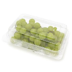 Big Size Takeaway Food Packaging Disposable Plastic Clamshell Bakery Box