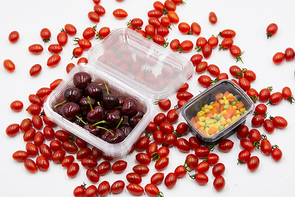 food and industrial packaging manufacturer