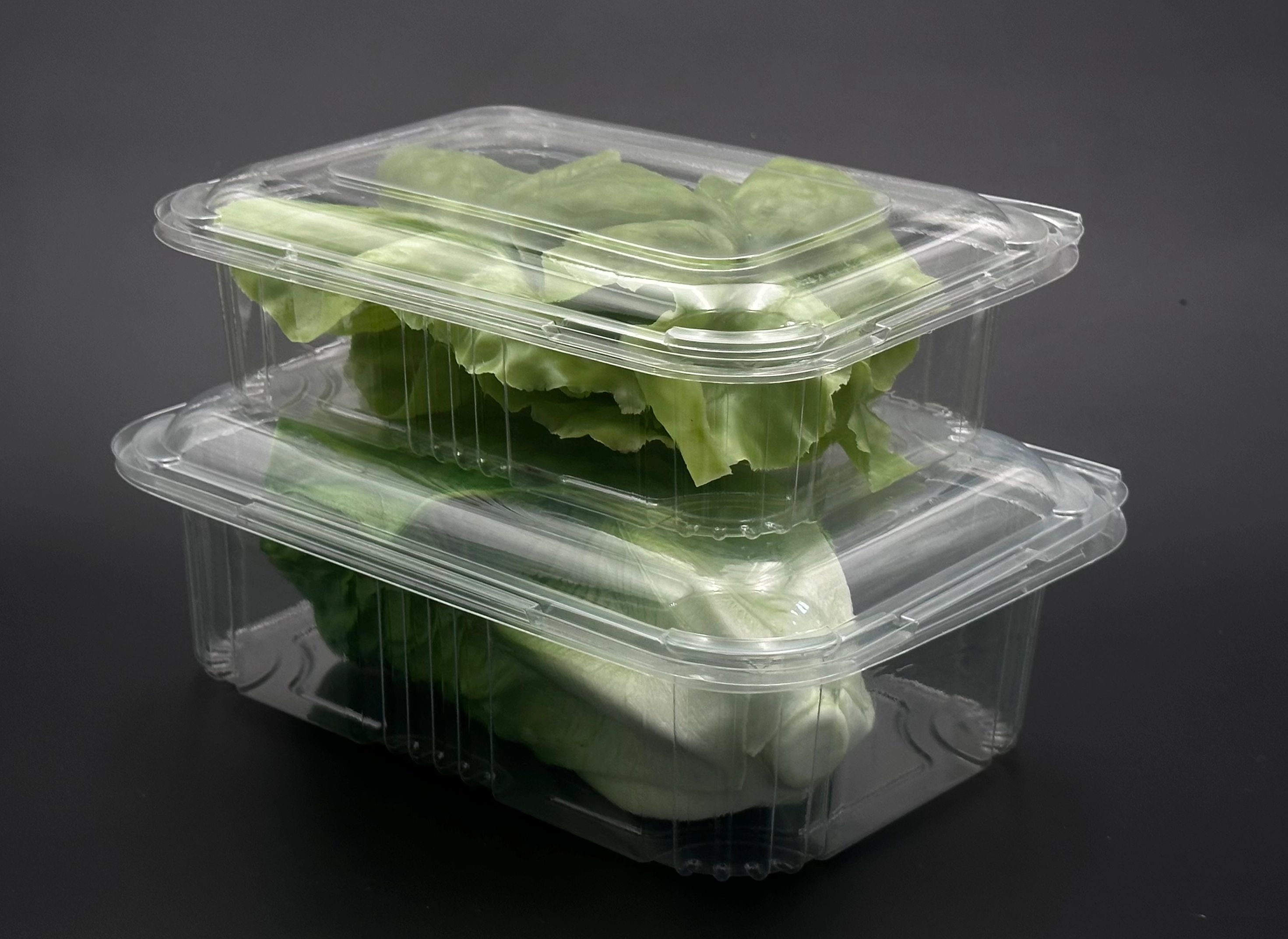 The Role of Transparent Blister Packaging in Displaying Products