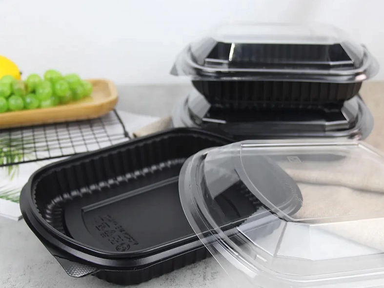 Innovations in Disposable Plastic Food Packaging: The Rise of Biodegradable Options