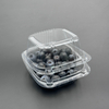 Transparent Disposable Food Packaging Square Plastic Clamshell PET Fruit box