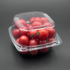 Transparent Disposable Food Packaging Square Plastic Clamshell PET Fruit box