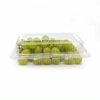 Rectangle Takeaway Food Packaging Disposable Plastic Clamshell Bakery Box