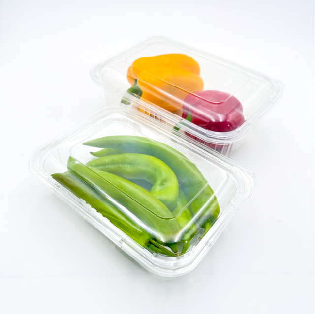 Transparent Disposable Food Packaging Square Plastic Clamshell PET Fruit box