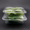 Transparent Disposable Food Packaging for Vegestable Rectangle Plastic Clamshell PET Fruit box
